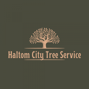 Haltom City Tree Service Logo